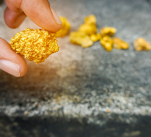 Pepita de oro